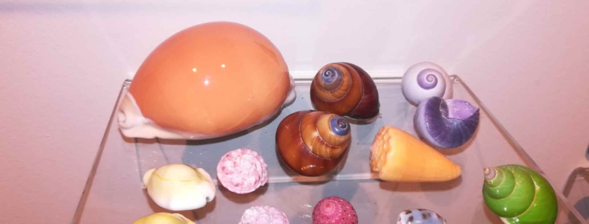 Gastropoden bei der Ausstellung „Streck die Fühler aus“ des Biodiversitätszentrum Linz 2019, © MoFA